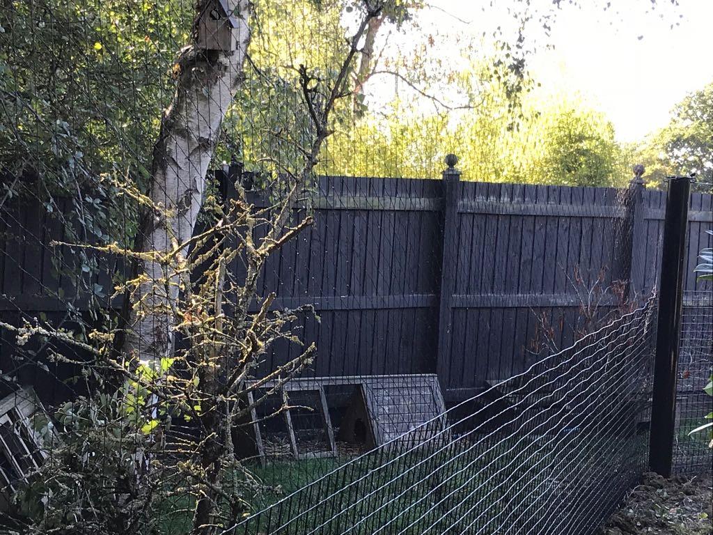 Pond Netting Farm and Country Fencing